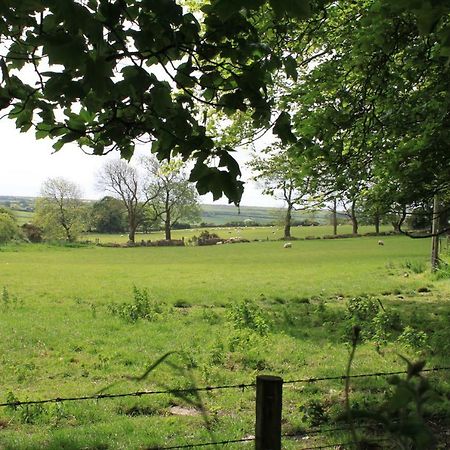 Ty Llwyd Treffynnon Exterior foto