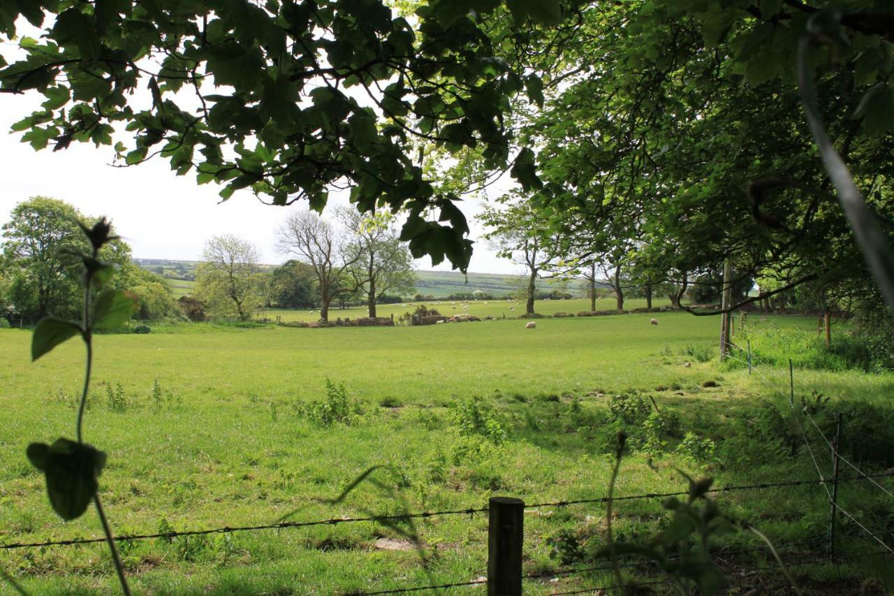 Ty Llwyd Treffynnon Exterior foto